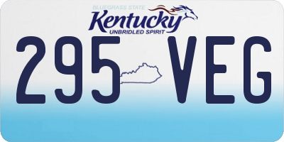 KY license plate 295VEG