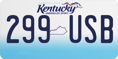 KY license plate 299USB