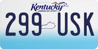 KY license plate 299USK