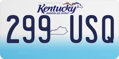 KY license plate 299USQ