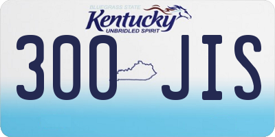 KY license plate 300JIS