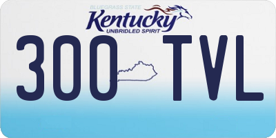 KY license plate 300TVL