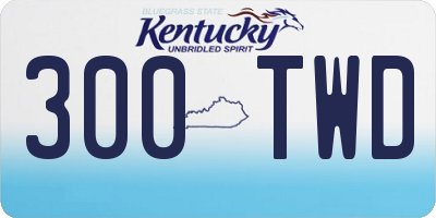 KY license plate 300TWD