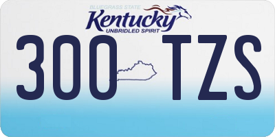 KY license plate 300TZS