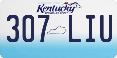 KY license plate 307LIU