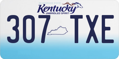 KY license plate 307TXE