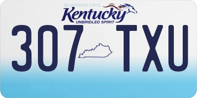 KY license plate 307TXU