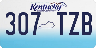 KY license plate 307TZB
