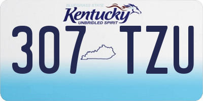 KY license plate 307TZU
