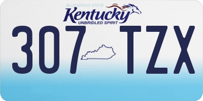 KY license plate 307TZX
