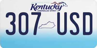 KY license plate 307USD