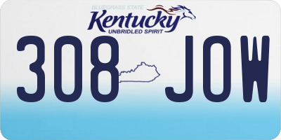 KY license plate 308JOW