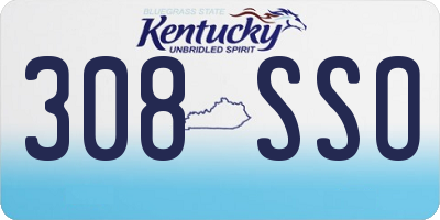 KY license plate 308SSO