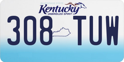 KY license plate 308TUW