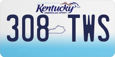 KY license plate 308TWS