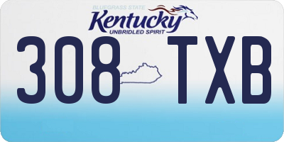 KY license plate 308TXB