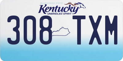 KY license plate 308TXM