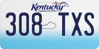 KY license plate 308TXS