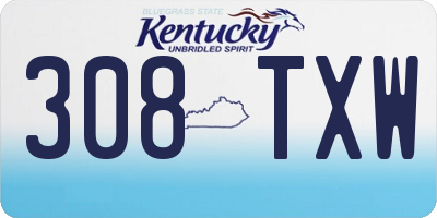 KY license plate 308TXW