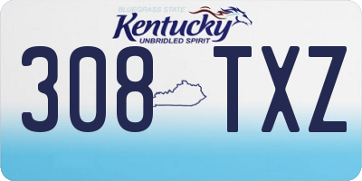 KY license plate 308TXZ