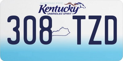 KY license plate 308TZD