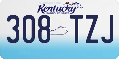 KY license plate 308TZJ