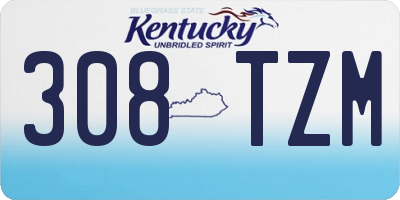 KY license plate 308TZM