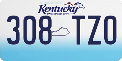 KY license plate 308TZO