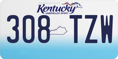 KY license plate 308TZW