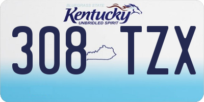 KY license plate 308TZX