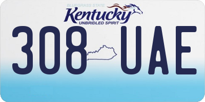 KY license plate 308UAE