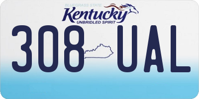 KY license plate 308UAL