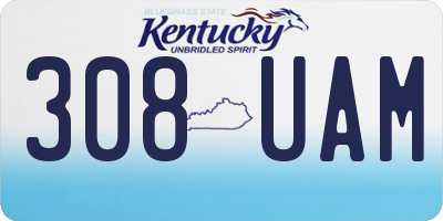 KY license plate 308UAM