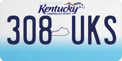 KY license plate 308UKS