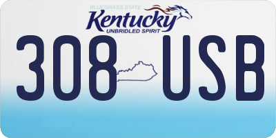 KY license plate 308USB