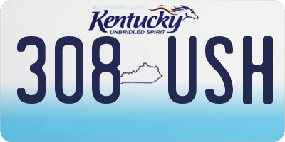 KY license plate 308USH