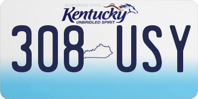 KY license plate 308USY