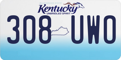 KY license plate 308UWO