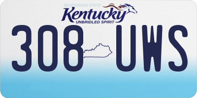 KY license plate 308UWS