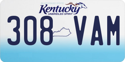 KY license plate 308VAM