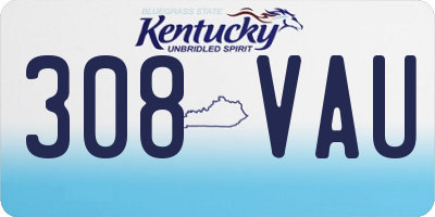 KY license plate 308VAU