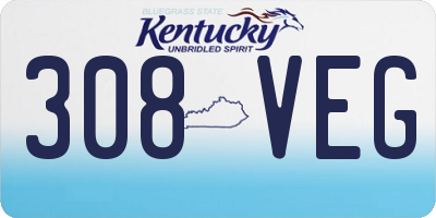 KY license plate 308VEG