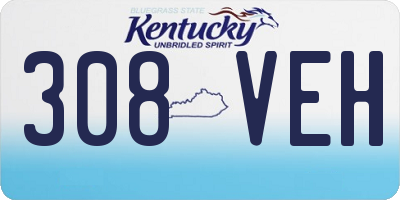 KY license plate 308VEH