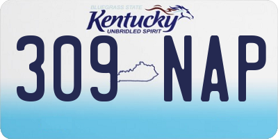 KY license plate 309NAP