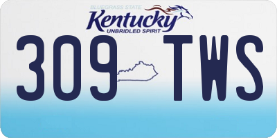 KY license plate 309TWS
