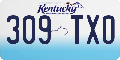 KY license plate 309TXO