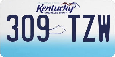KY license plate 309TZW