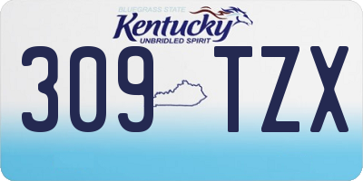 KY license plate 309TZX