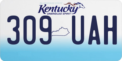 KY license plate 309UAH