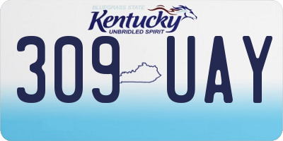 KY license plate 309UAY